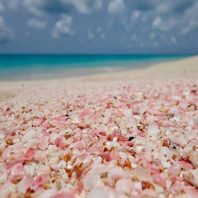 Chania: Private Jeep Safari to Balos, Falassarna & Elafonisi - The Sum Up: The Best of Crete in One Day