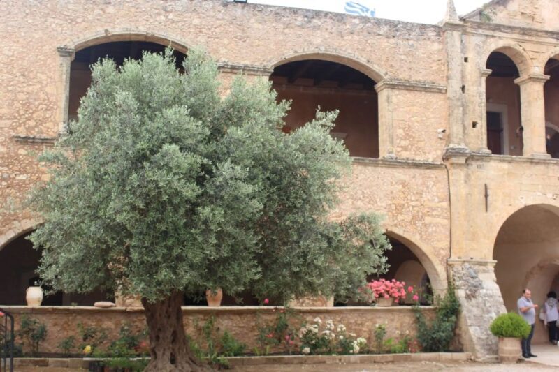 Chania Private Olive Oil Tour: Oil Tasting & Villages Tour - The Itinerary Breakdown: What to Expect