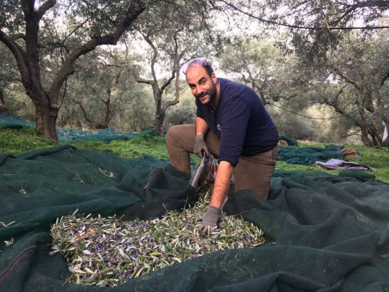 Chania Private Olive Oil Tour: Oil Tasting & Villages Tour - The Sum Up