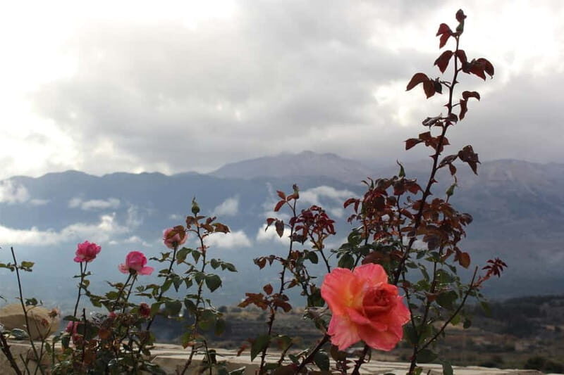 Chania: Private Sunset Sightseeing Tour with Historian Guide - Discovering Chania’s Hidden Treasures