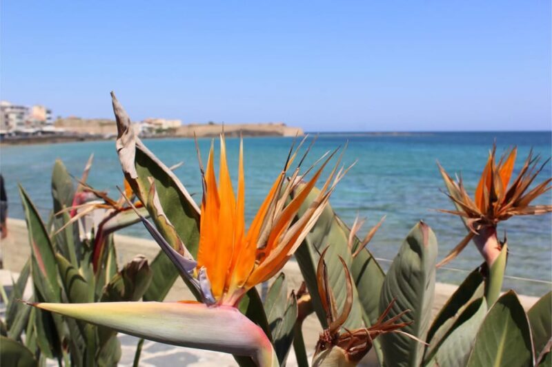 Chania: Private Walking Tour: History, Sights, Food & Senses - Who Is This Tour Best For?