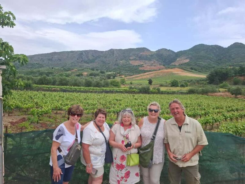 Chania Private Wine Tasting Tour & Theriso Village Visit - Key Points