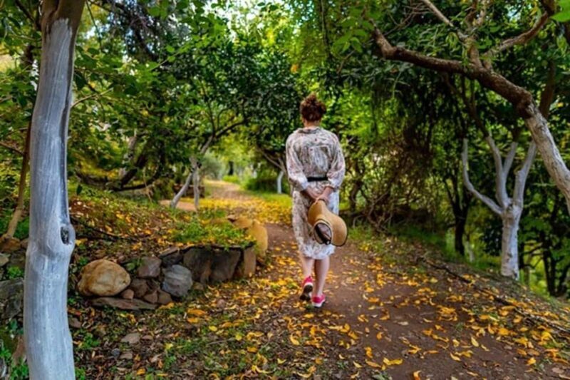 Chania Safari & Botanical Garden  Nature & Aromas Tour - Introduction