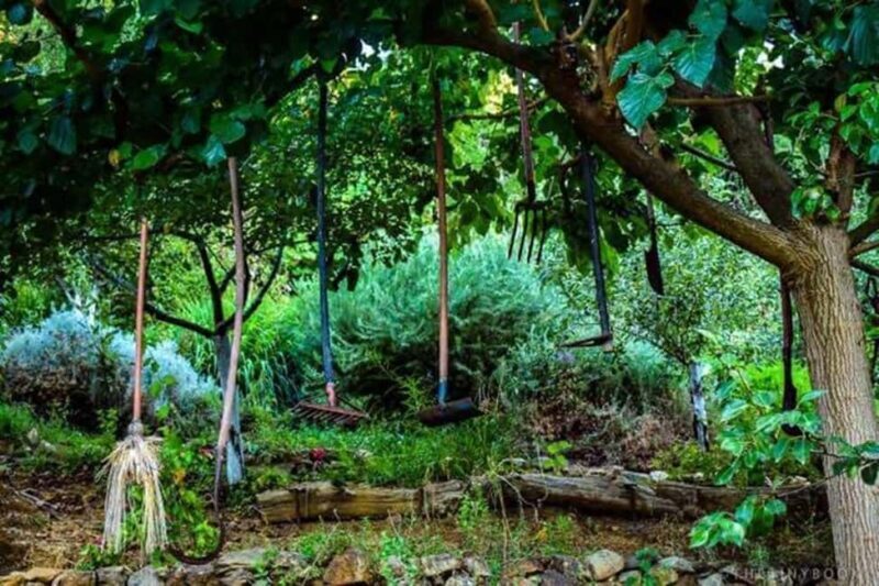 Chania Safari & Botanical Garden  Nature & Aromas Tour - Pricing and Value