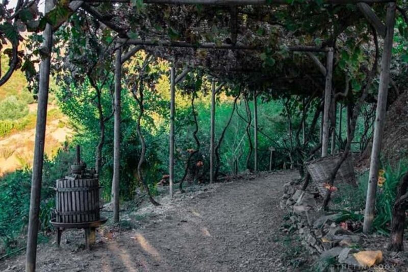 Chania Safari & Botanical Garden  Nature & Aromas Tour - The Sum Up