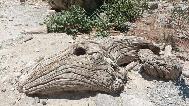 Chania: Samaria Gorge Private Transfer - An Authentic Journey into Crete’s Natural Beauty