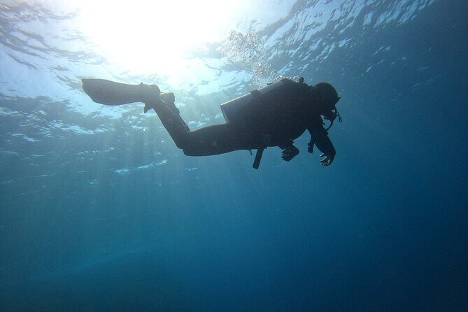 Chania Scuba Diving 2 Shore Dives(Receive Certification) - Final Thoughts: Is It Worth It?