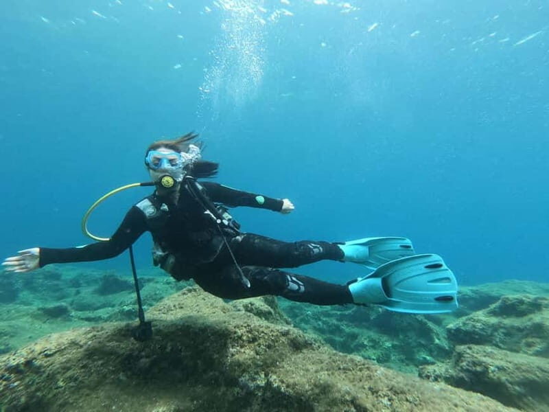 Chania: Scuba Diving and Snorkeling for Beginners by Boat - Who Is This Tour Best For?