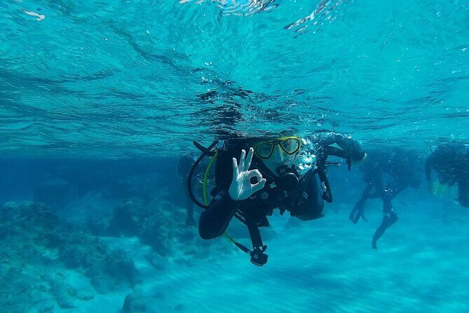 Chania: Scuba Diving for Beginners - An Honest Look at the Experience