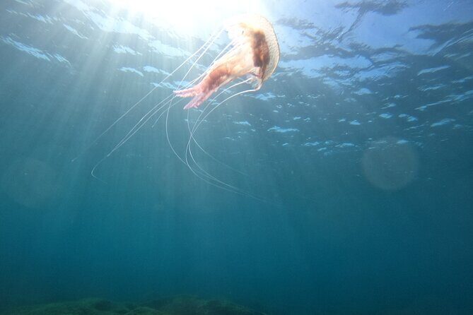 Chania Scuba Diving for Beginners - A Closer Look at the Itinerary