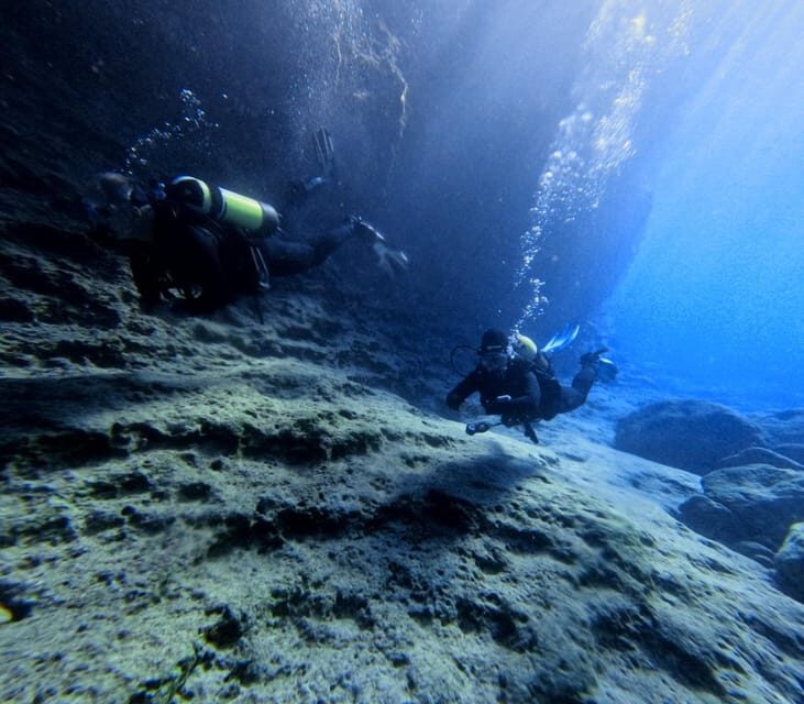 Chania Scuba Diving | Fun Dives | Certified Divers - Who Is This Tour Best For?