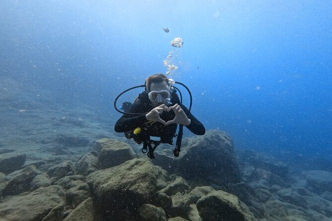 Chania Scuba Diving | Fun Dives | Certified Divers - An In-Depth Look at the Crete Scuba Diving Experience