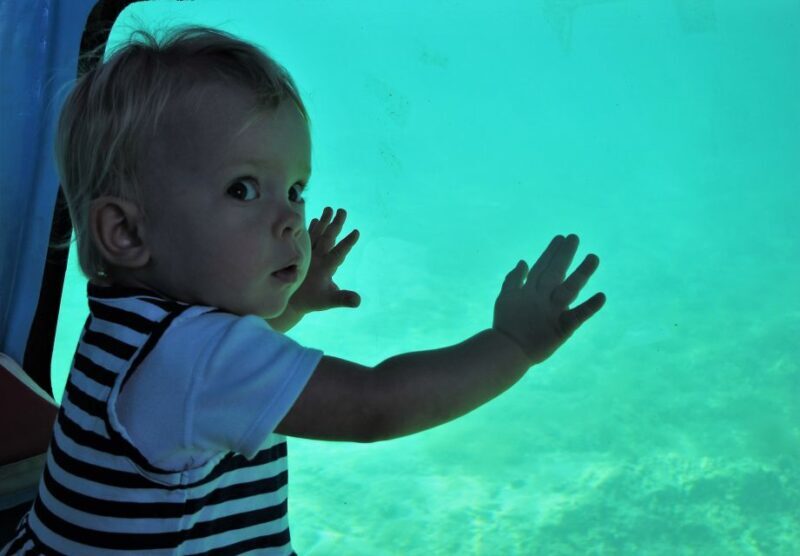 Chania: Semi-Submarine Boat Underwater Experience - Who This Tour Is Best For