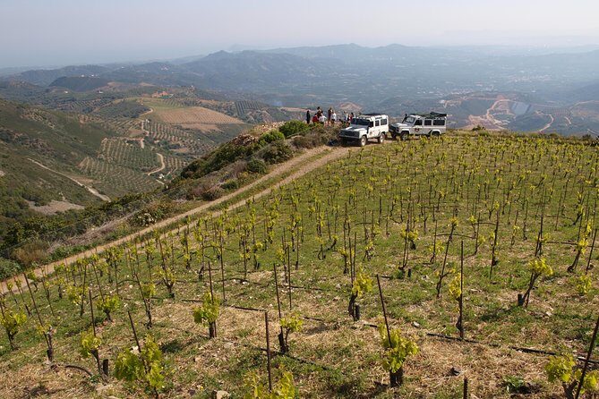 Chania Shore Excursion Off Road Vineyard and Winery Tour Half Day - Inside Manousakis Winery: A Deep Dive into Crete’s Wine Culture