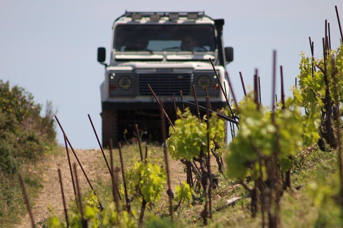 Chania Shore Excursion Off Road Vineyard and Winery Tour Half Day - What We Love About This Tour