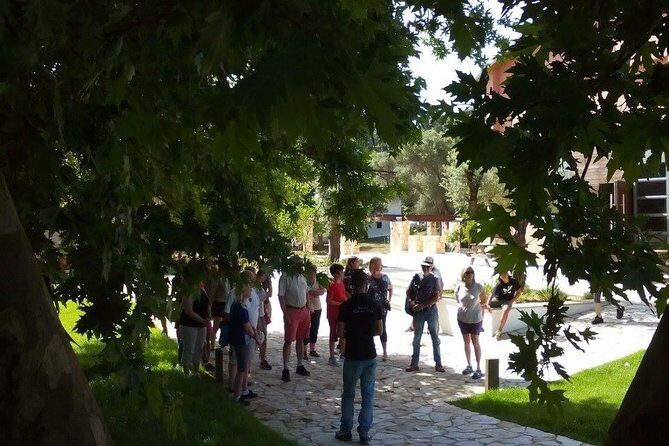 Chania Shore Excursion Off Road Vineyard and Winery Tour Half Day - Why Is This Tour Worth Considering?