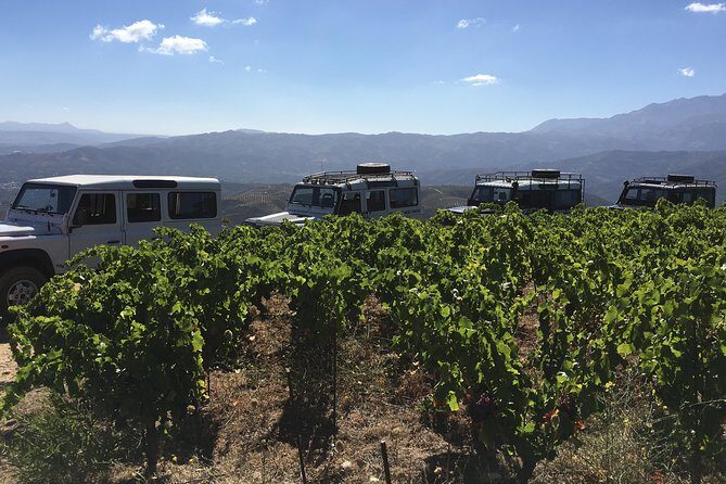 Chania Shore Excursion Off Road Vineyard and Winery Tour Half Day - FAQs