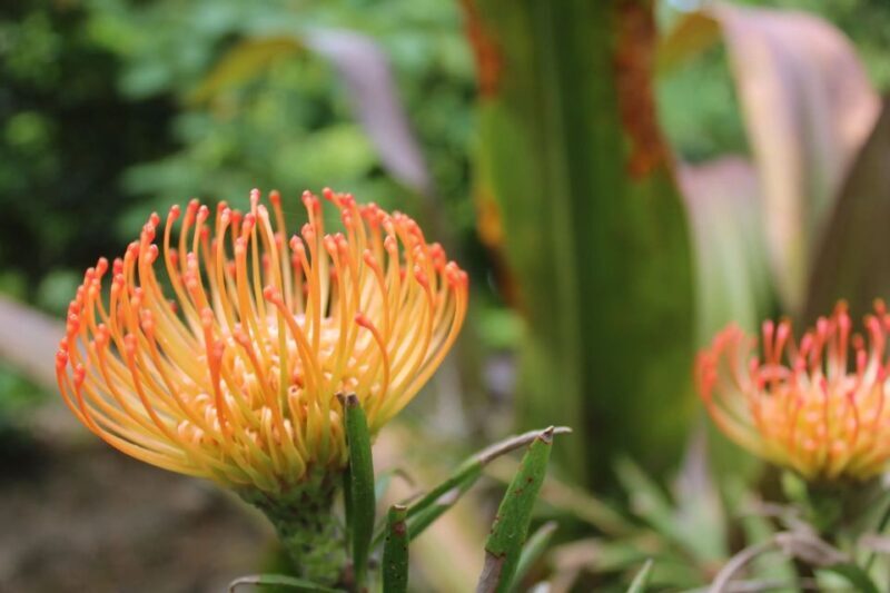 Chania to the Lakes of Crete: Private tour to Aqua Paradise - Exploring Crete’s Lakes: A Deep Dive