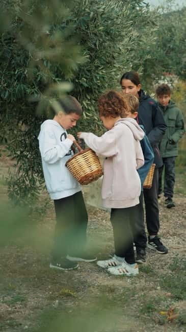 Chania Treasure Hunt : In olive Mill - FAQs