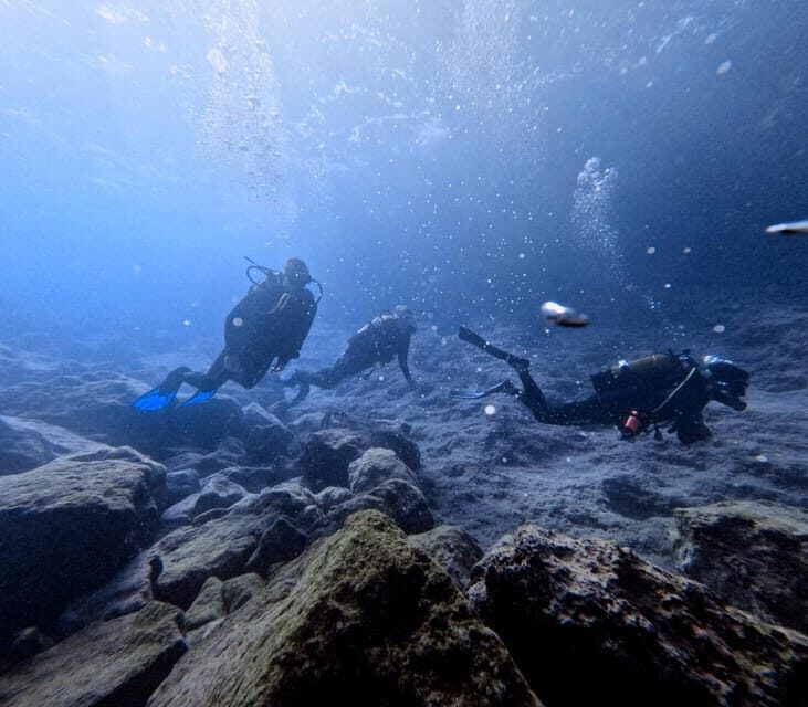Chania | Try Scuba Diving | Private Introduction Dive - An In-Depth Look at the Experience
