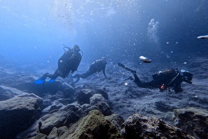 Chania | Try Scuba Diving | Private Introduction Dive - Chania | Try Scuba Diving | Private Introduction Dive Review