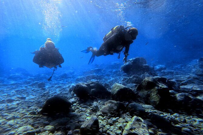 Chania | Try Scuba Diving | Private Introduction Dive - The Sum Up