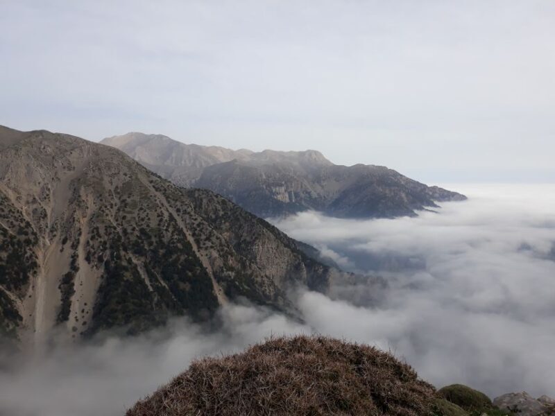 Chania: White Mountains Safari Tour with Lunch and Tastings - Key Points