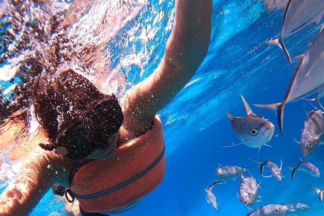 Chankanaab Park Admission +Snorkeling + Lunch included - The Experience: What the Tour Offers and What You Can Expect