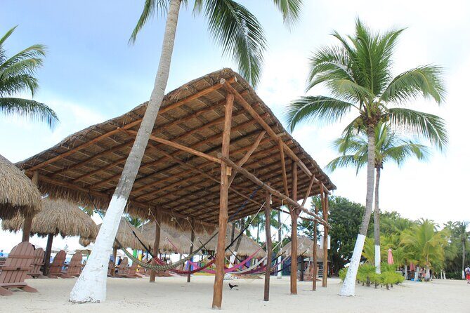 Chankanaab Park Admission +Snorkeling + Lunch included - Who Should Consider This Tour?