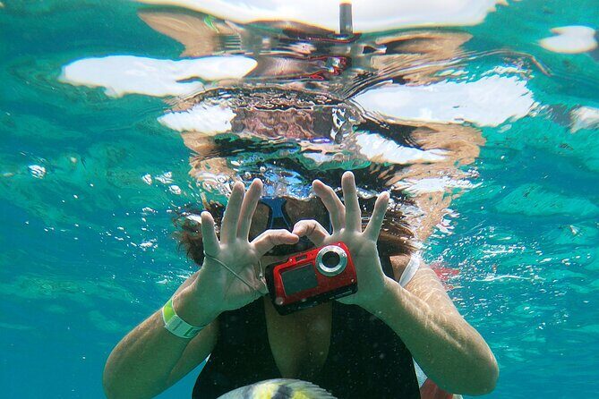 Chankanaab Park Admission + Welcome drink + Snorkeling - A Deep Dive into the Chankanaab Experience