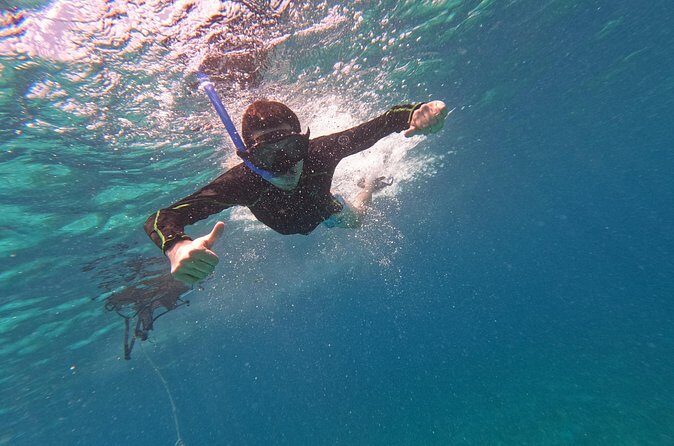 Chankanaab Park entrance ticket with snorkeling and buffet included - What to Expect at Chankanaab Park