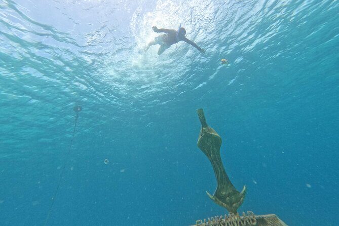 Chankanaab Park entrance ticket with snorkeling and buffet included - A Thorough Look at the Itinerary