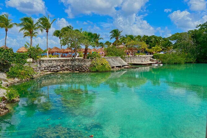 Chankanab Park Admission +Open bar +Lunch included +Snorkeling - The Experience in Detail