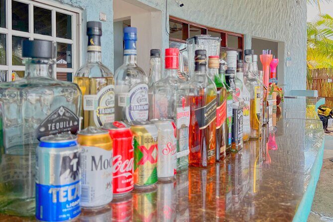 Chankanab Park Admission +Open bar +Lunch included +Snorkeling - Who Should Consider This Tour?