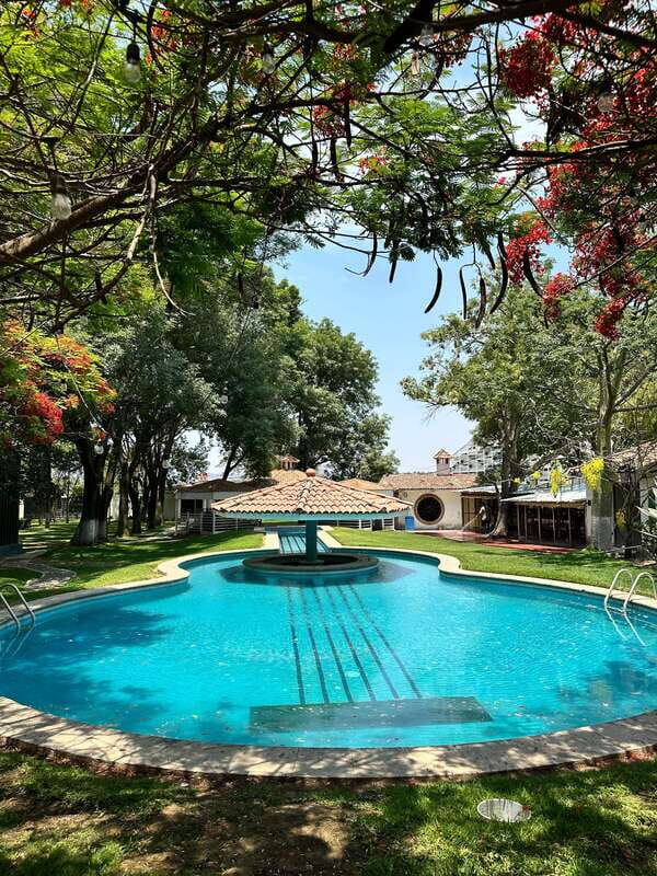 Chapala and Ajijic Tour from Guadalajara with 3 Potrillos - Who Should Consider This Tour?