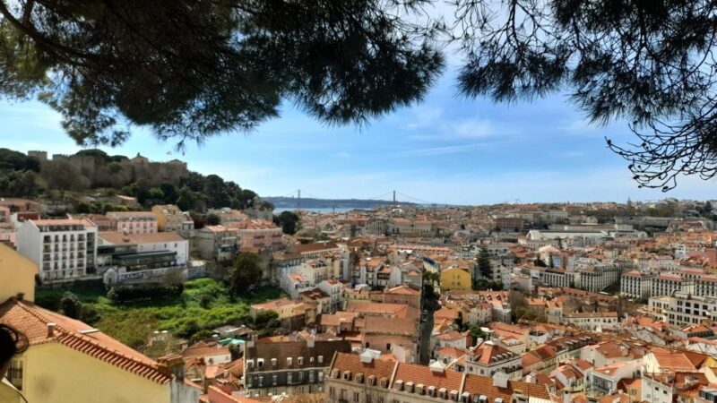 Chaparru's Lisbon Essentials 5 H Tuk Tuk Tour - Final Thoughts: Who Should Book This Tour?