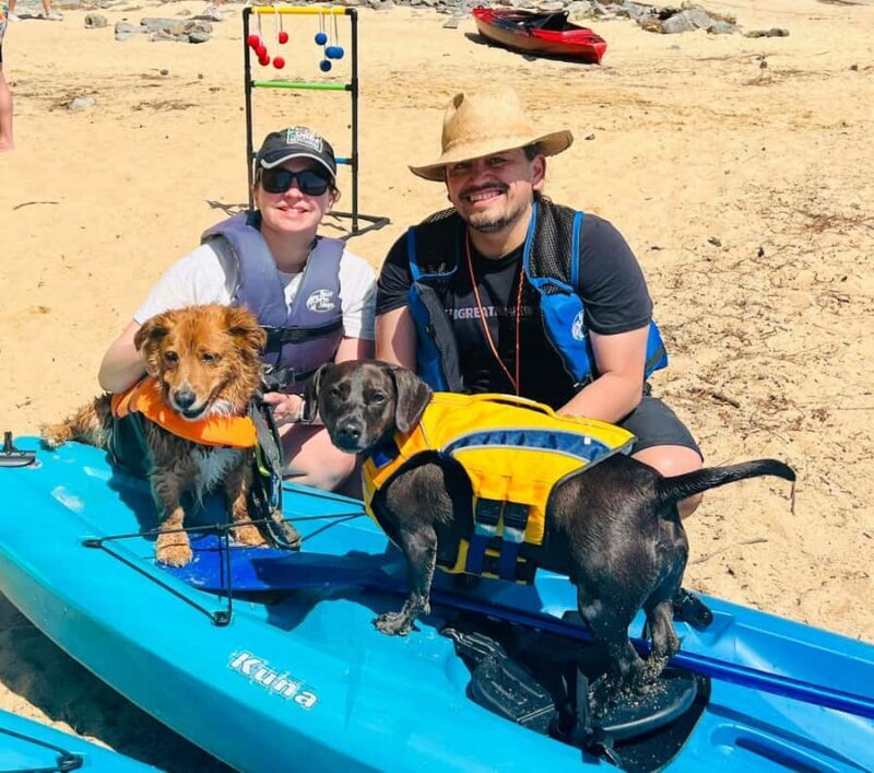 Chapel Hill: Jordan Lake Kayak Rental - An Authentic Paddle on Jordan Lake