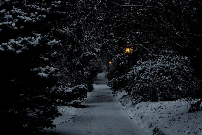 Chapel Hill True Crime Walking Tour - The Value of the Experience