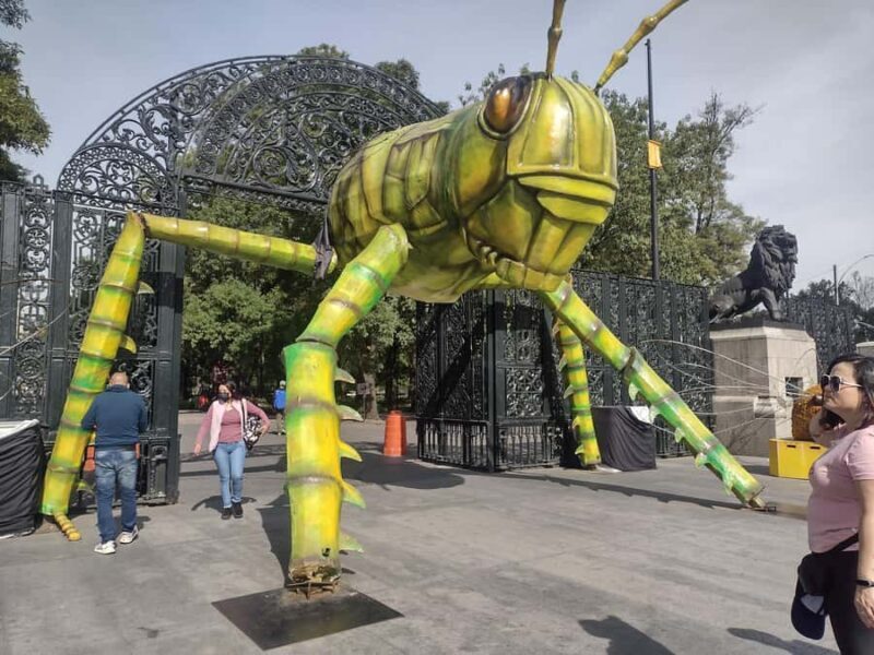 Chapultepec Castle Guided Tour - Detailed Breakdown of the Itinerary