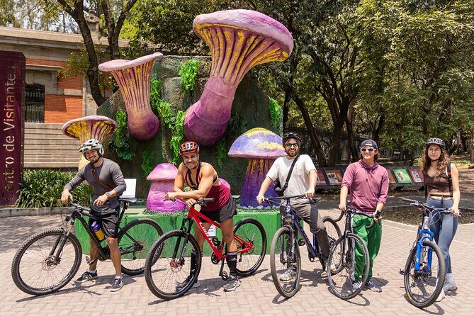 Chapultepec Castle or Anthropology Museum bike tour - The Itinerary in Detail