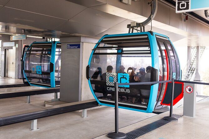 Chapultepec Castle or Anthropology Museum bike tour - Who Will Love This Tour?