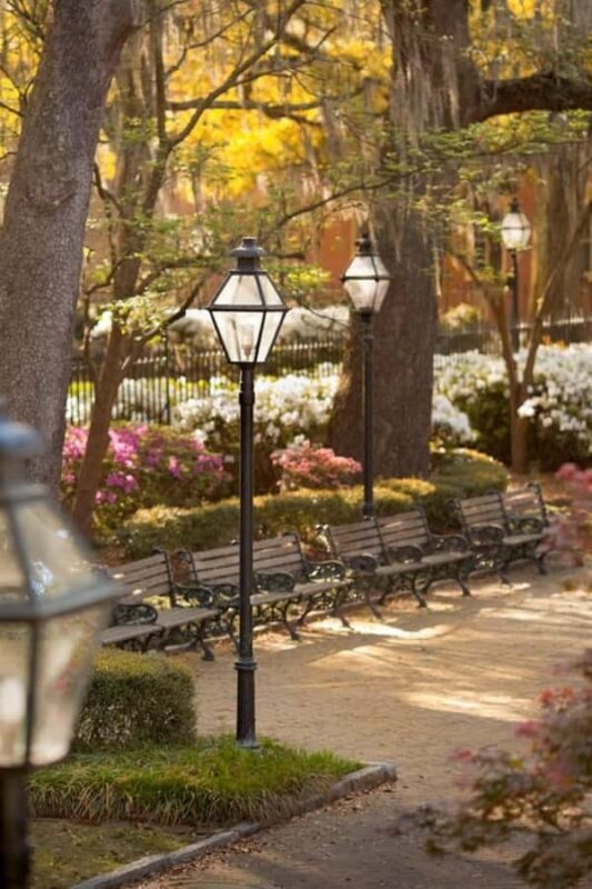 Charleston : Best Street Food Tour With A Local Guide - Why This Tour Works Well