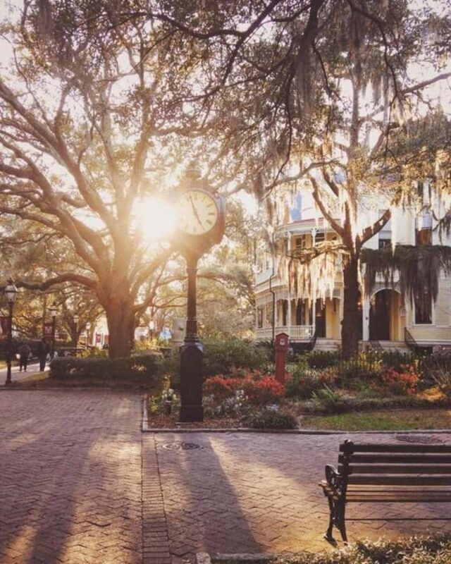 Charleston : Best Street Food Tour With A Local Guide - Who It’s Best For