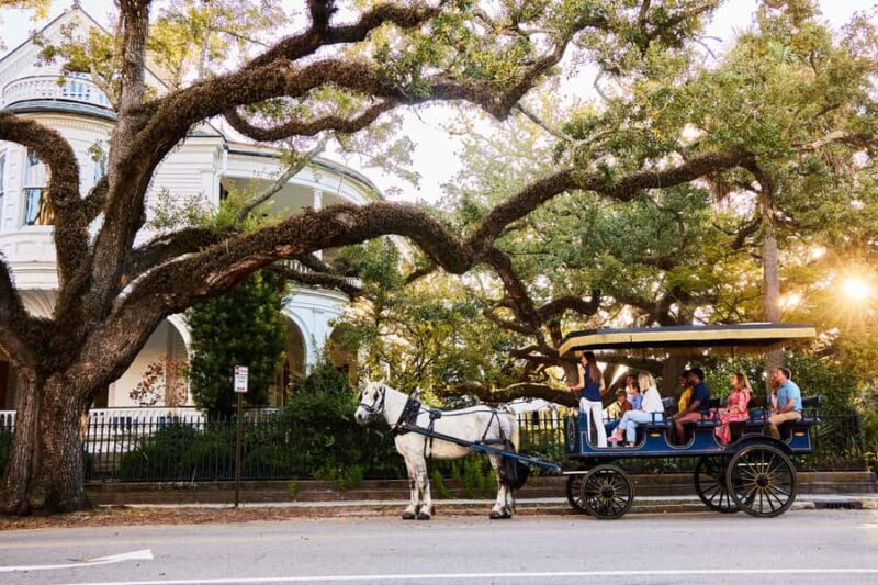 Charleston: Downtown Horse-Drawn Carriage Tour - What You Can Expect from the Guides