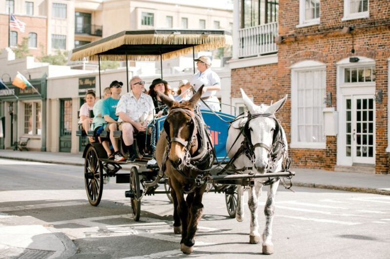 Charleston: Downtown Horse-Drawn Carriage Tour - Introduction