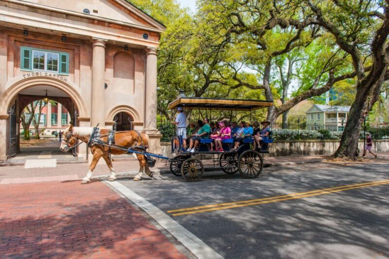 Charleston: Downtown Horse-Drawn Carriage Tour - The Sum Up