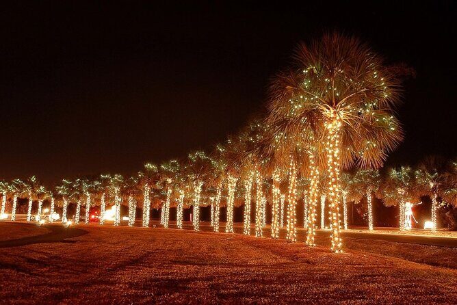 Charleston Festival of Lights with Small Group Transportation - The Itinerary in Detail