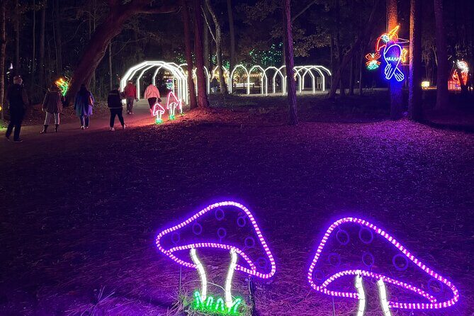 Charleston Festival of Lights with Small Group Transportation - The Value and Who It’s Best For