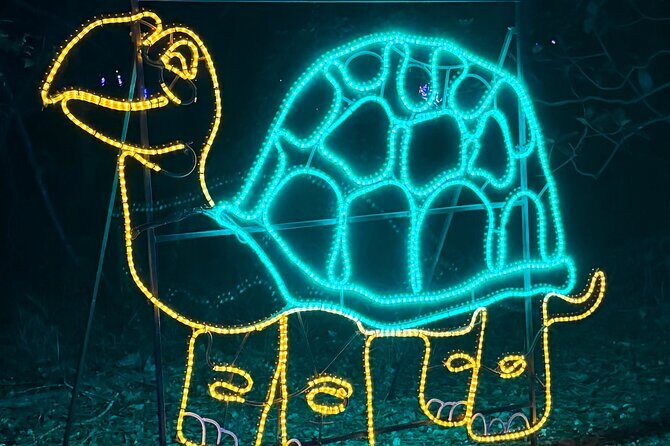 Charleston Festival of Lights with Small Group Transportation - FAQ