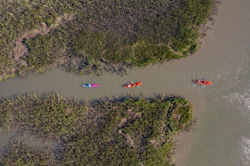 Charleston: Folly Beach Kayak Dolphin Safari - Key Points